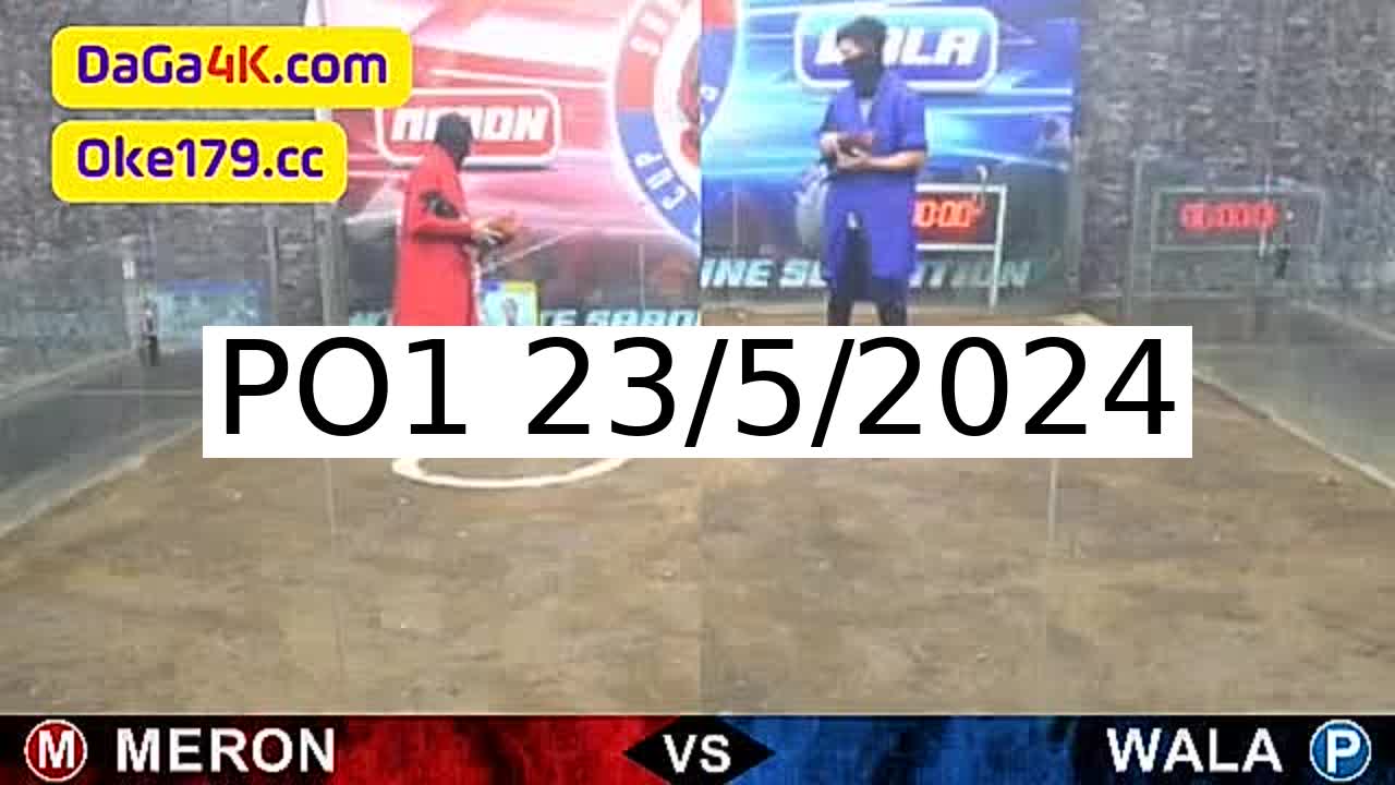 Full 158 Trận - Video đá gà trực tiếp PO1 Campuchia ngày 23/5/2024