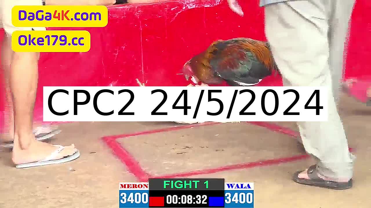 Full 43 Trận - Video đá gà trực tiếp Thomo Campuchia ngày 24/5/2024