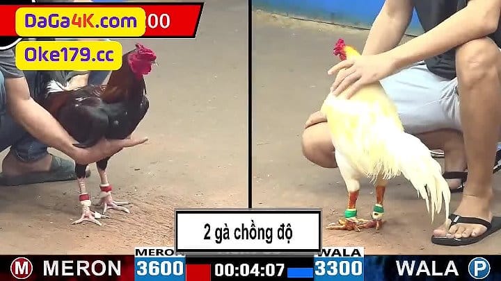 Trận cuối đá giải ngày 27/5/2024 CPC3 Thomo - giờ xem lại vẫn hay