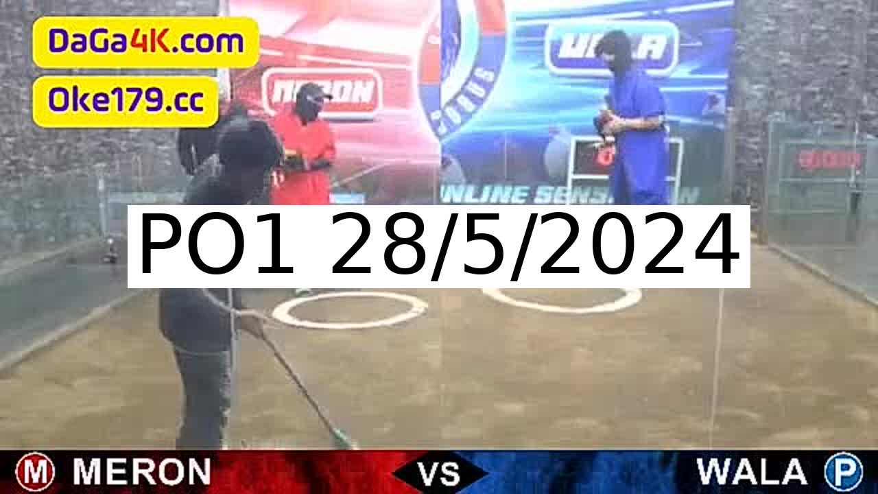 Full 163 Trận - Video đá gà trực tiếp PO1 Campuchia ngày 28/5/2024