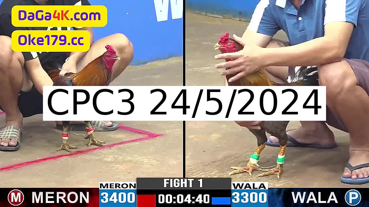 Full 32 Trận - Video đá gà trực tiếp CPC3 Campuchia ngày 24/5/2024