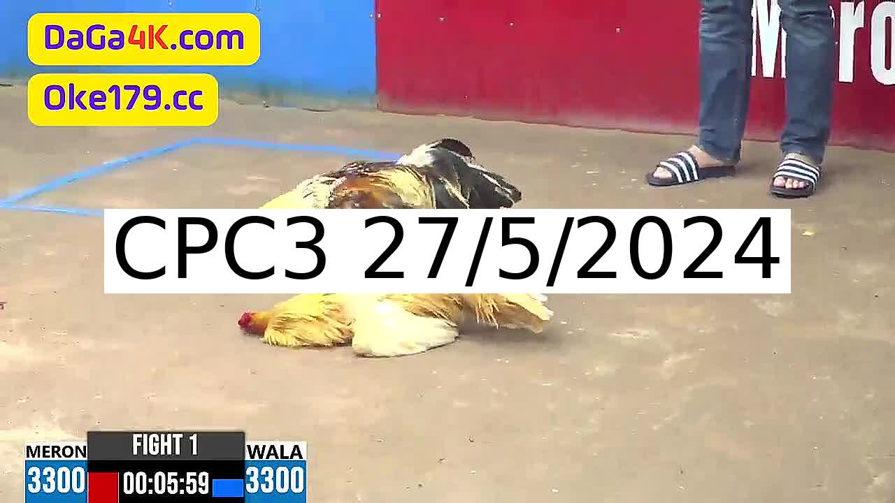 Full 59 Trận - Video giải đá gà trực tiếp CPC3 Campuchia ngày 27/5/2024