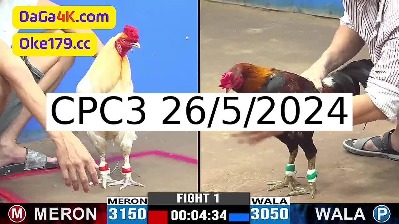 Full 26 Trận - Video đá gà trực tiếp CPC3 Campuchia ngày 26/5/2024