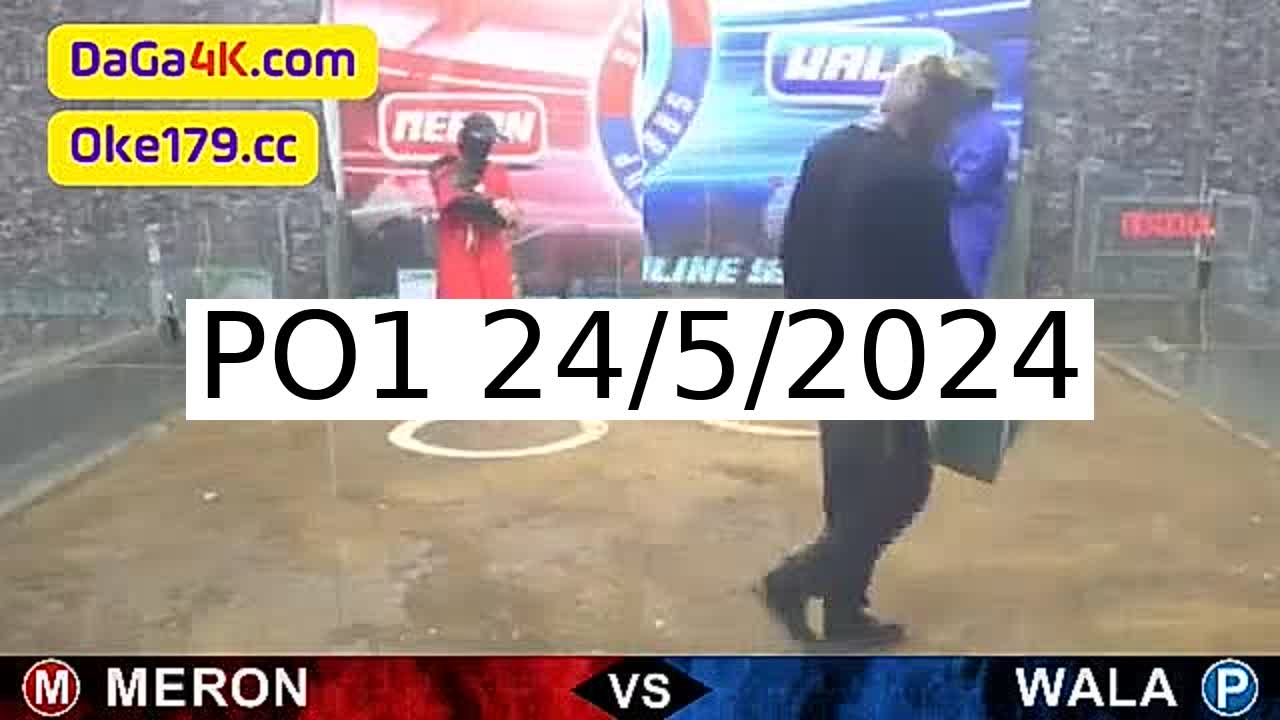 Full 166 Trận - Video đá gà trực tiếp PO1 Campuchia ngày 24/5/2024