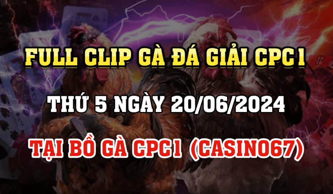 Full Các Trận Gà Đá Giải CPC1 Thomo Campuchia Ngày 20/6/2024