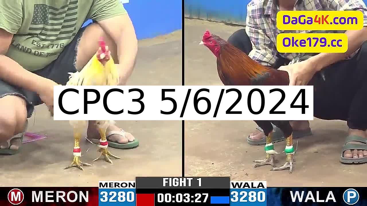 Full 24 Trận - Video đá gà trực tiếp CPC3 Campuchia ngày 5/6/2024