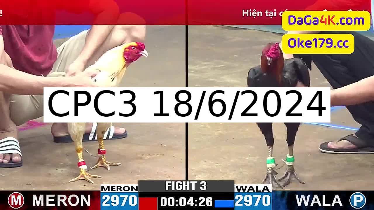 Full 35 Trận - Video đá gà trực tiếp CPC3 Campuchia ngày 18/6/2024