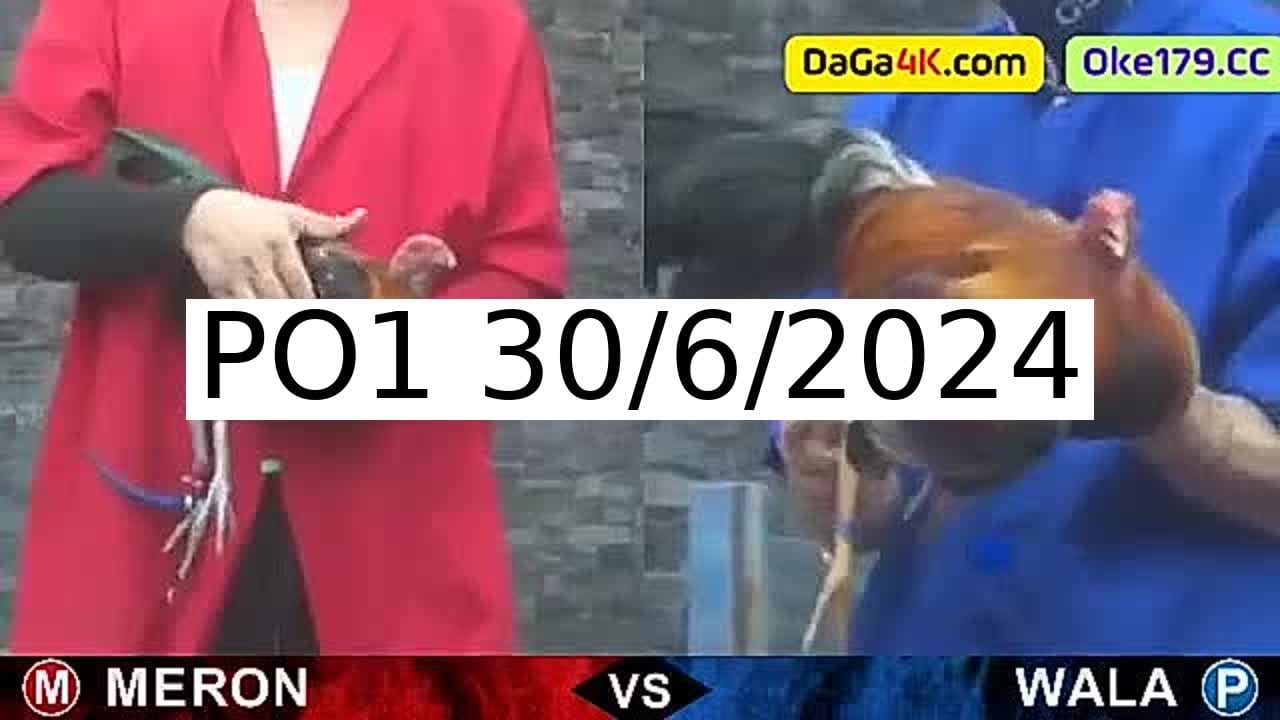 Full 172 Trận - Video đá gà trực tiếp PO1 Campuchia ngày 30/6/2024