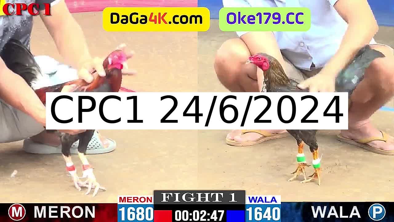 Full 25 Trận - Video đá gà trực tiếp Thomo Campuchia ngày 24/6/2024