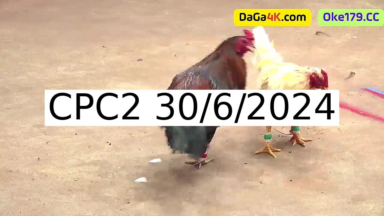 Full 47 Trận - Video đá gà trực tiếp Thomo Campuchia ngày 30/6/2024