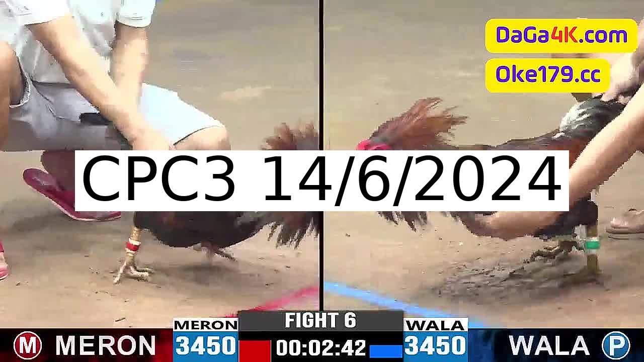 Full 31 Trận - Video đá gà trực tiếp CPC3 Campuchia ngày 14/6/2024