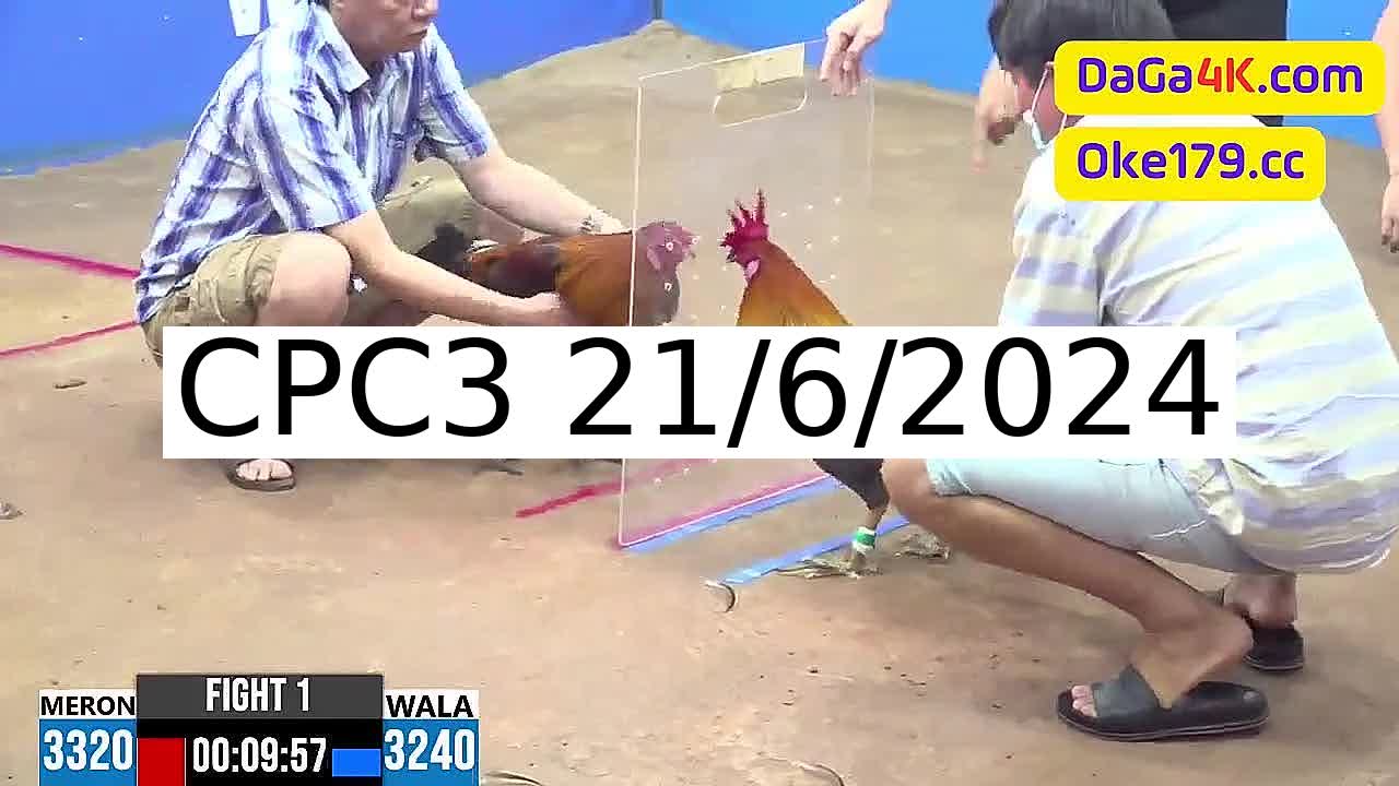 Full 29 Trận - Video đá gà trực tiếp CPC3 Campuchia ngày 21/6/2024