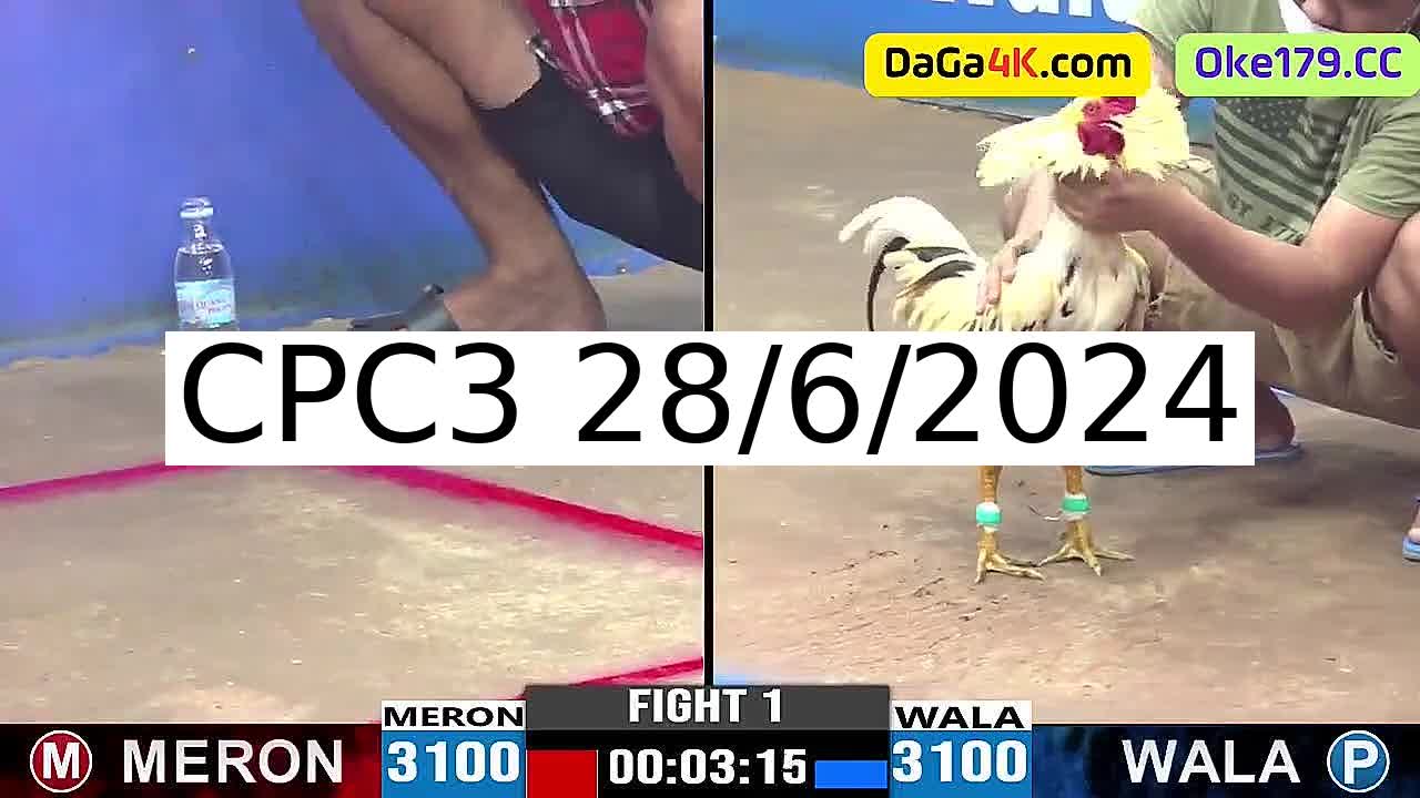 Full 28 Trận - Video đá gà trực tiếp CPC3 Campuchia ngày 28/6/2024