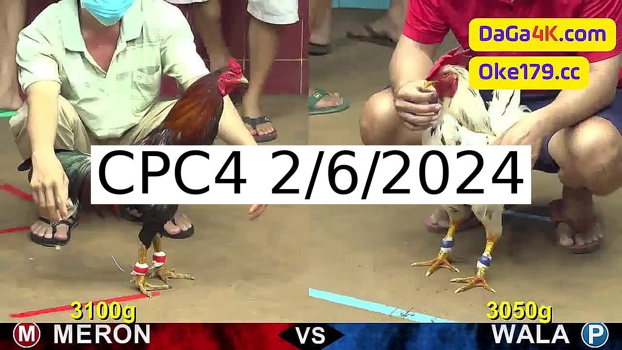 Full 26 Trận - Video đá gà trực tiếp CPC4 Campuchia ngày 2/6/2024