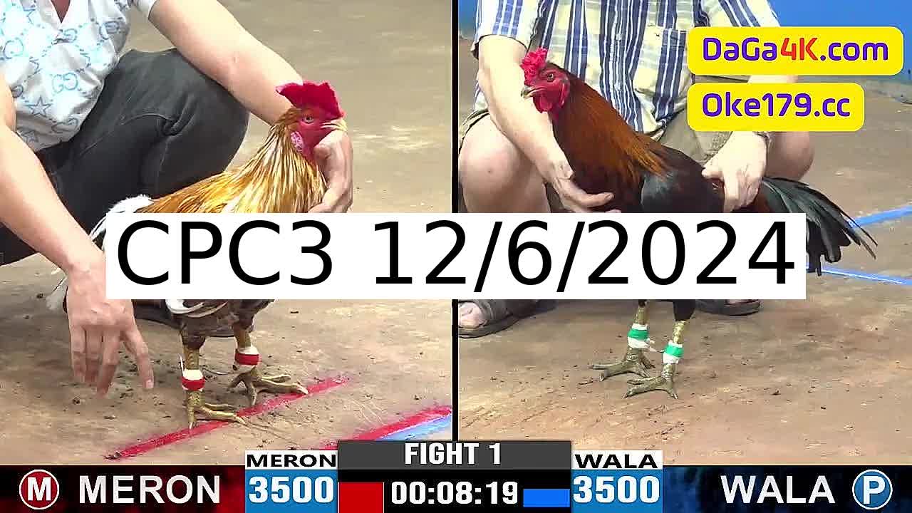 Full 36 Trận - Video đá gà trực tiếp CPC3 Campuchia ngày 12/6/2024