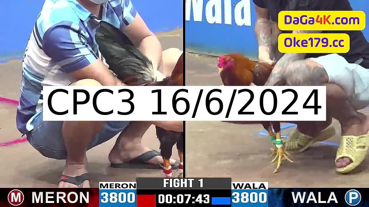 Full 30 Trận - Video đá gà trực tiếp CPC3 Campuchia ngày 16/6/2024