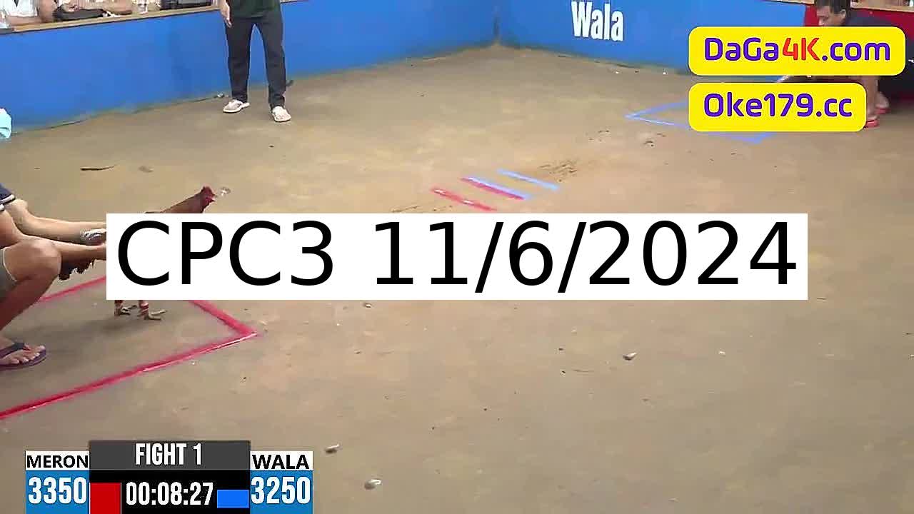 Full 44 Trận - Video đá gà trực tiếp CPC3 Campuchia ngày 11/6/2024