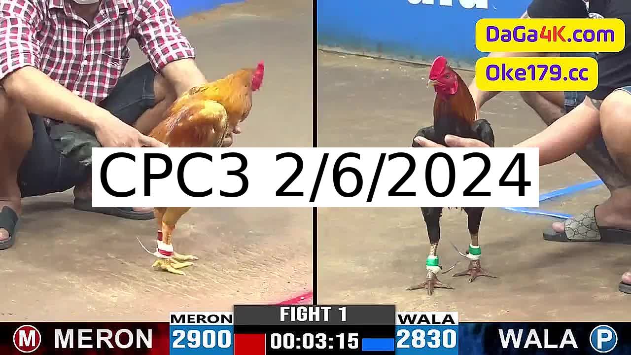 Full 42 Trận - Video đá gà trực tiếp CPC3 Campuchia ngày 2/6/2024