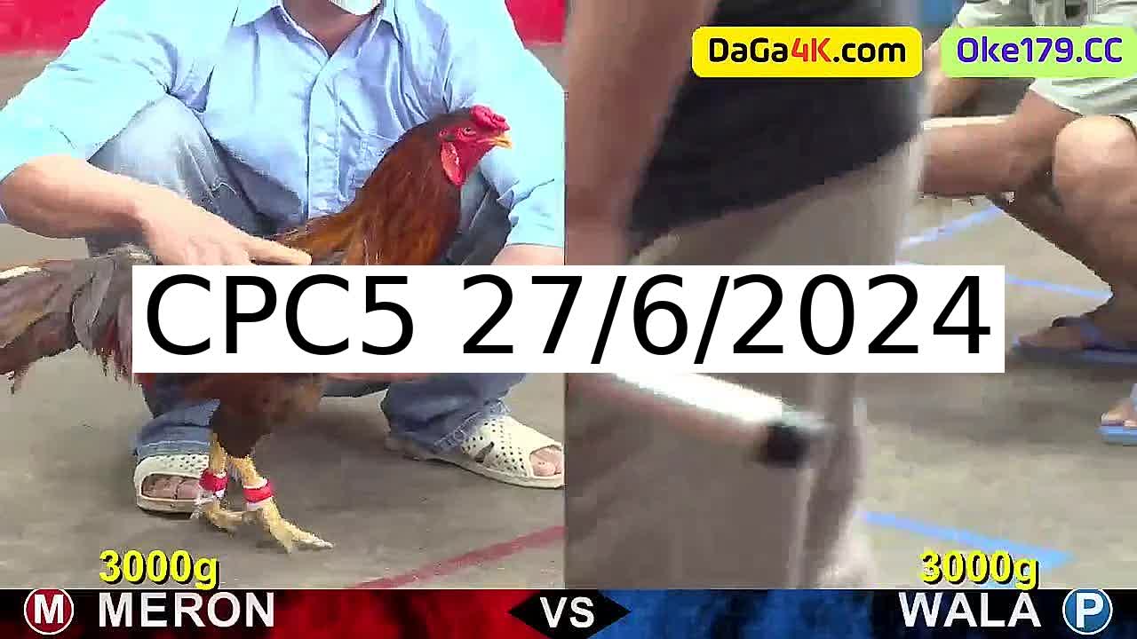 Full 30 Trận - Video đá gà trực tiếp CPC5 Campuchia ngày 27/6/2024