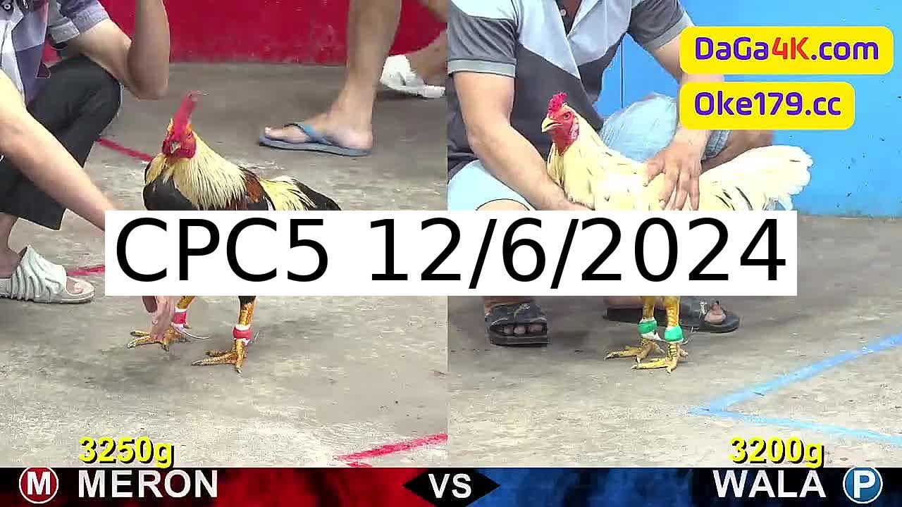 Full 22 Trận - Video đá gà trực tiếp CPC5 Campuchia ngày 12/6/2024