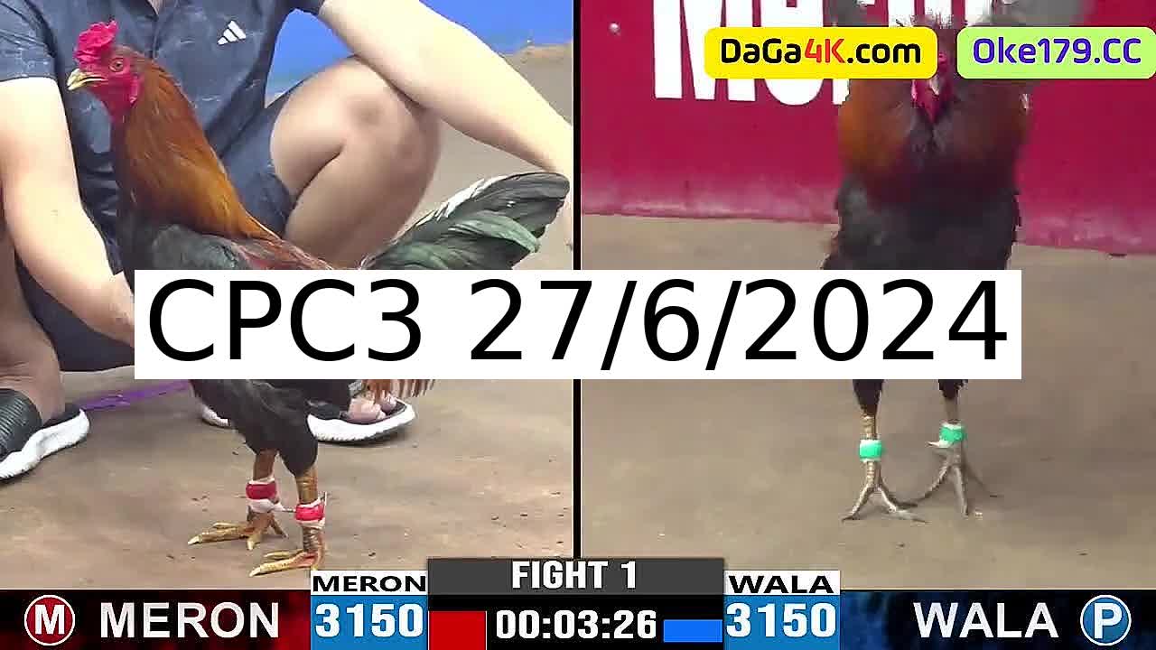 Full 38 Trận - Video đá gà trực tiếp CPC3 Campuchia ngày 27/6/2024