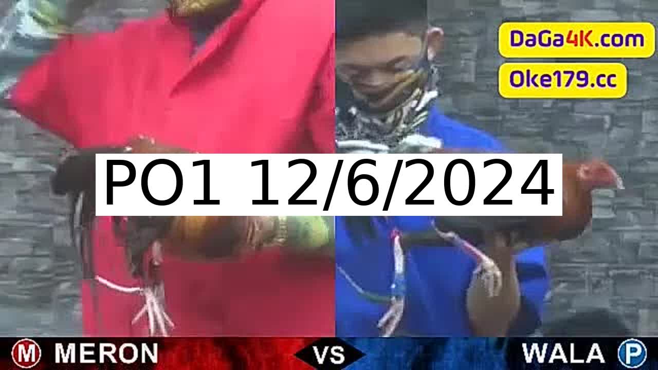 Full 177 Trận - Video đá gà trực tiếp PO1 Campuchia ngày 12/6/2024