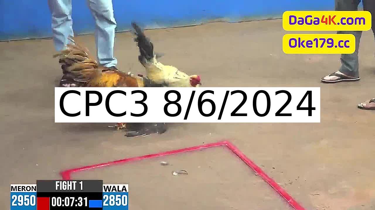 Full 35 Trận - Video đá gà trực tiếp CPC3 Campuchia ngày 8/6/2024