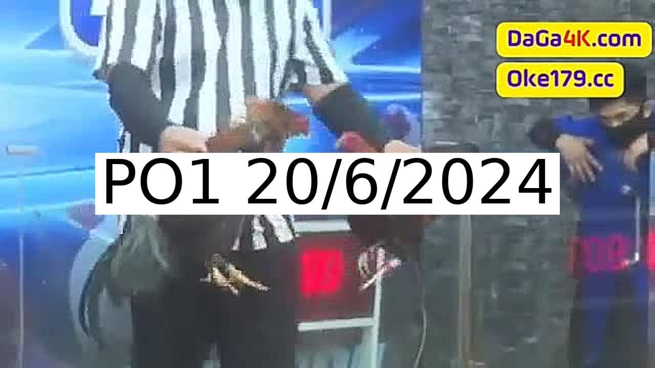 Full 163 Trận - Video đá gà trực tiếp PO1 Campuchia ngày 20/6/2024