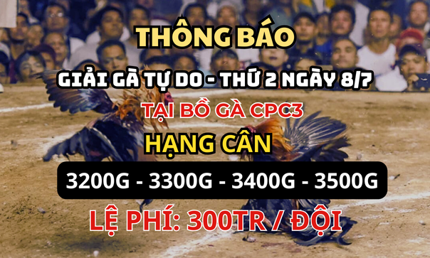 Trực Tiếp Giải Gà Tự Do CPC3 Ngày 08/07/2024