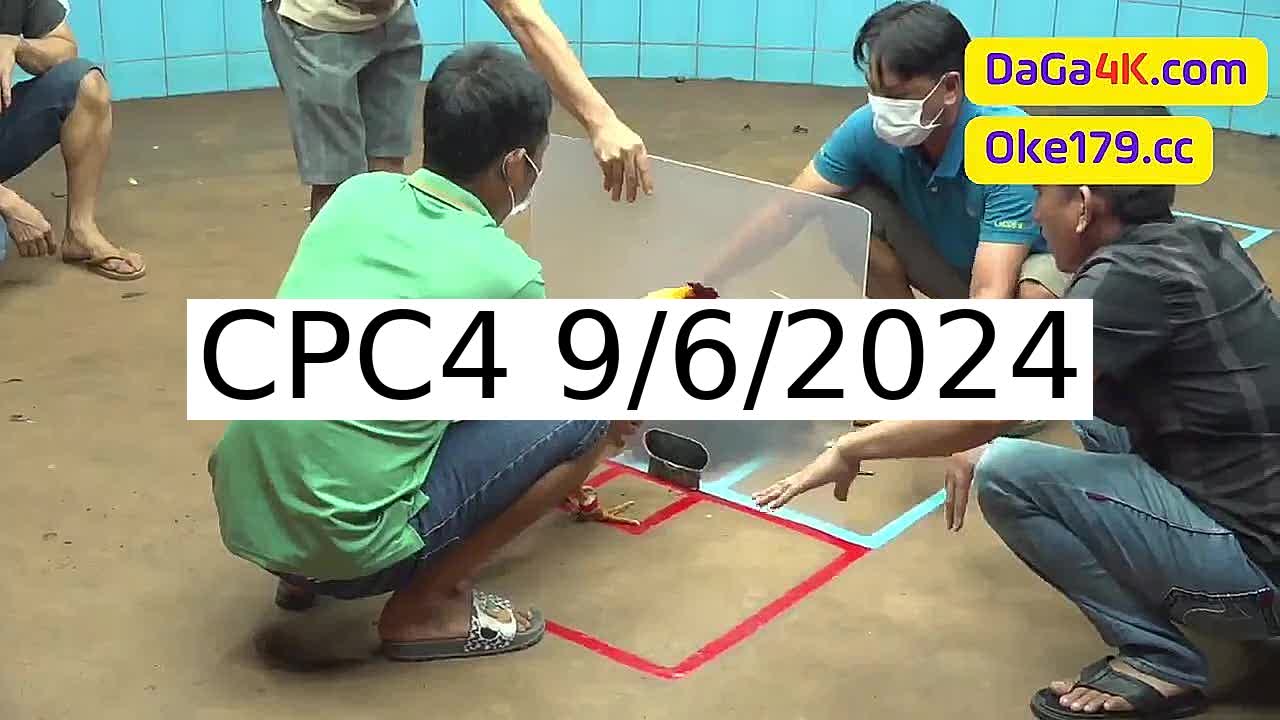 Full 31 Trận - Video đá gà trực tiếp CPC4 Campuchia ngày 9/6/2024