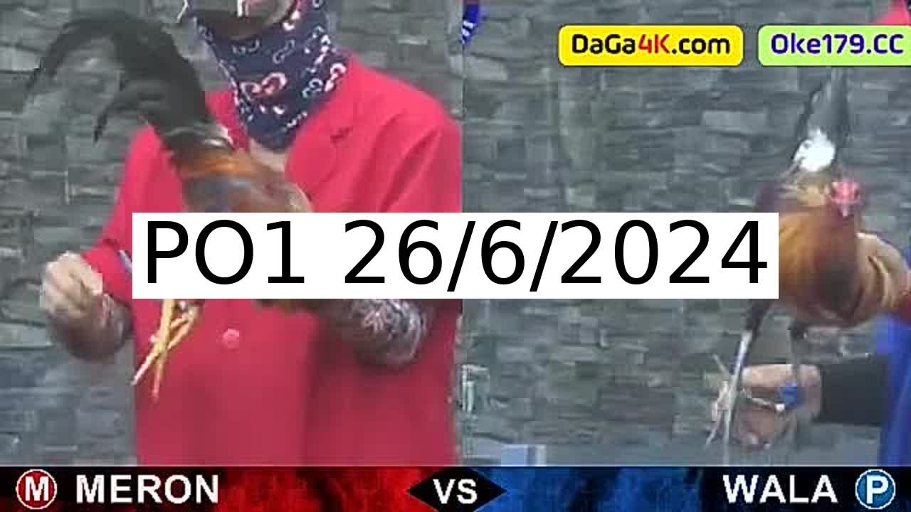 Full 178 Trận - Video đá gà trực tiếp PO1 Campuchia ngày 26/6/2024