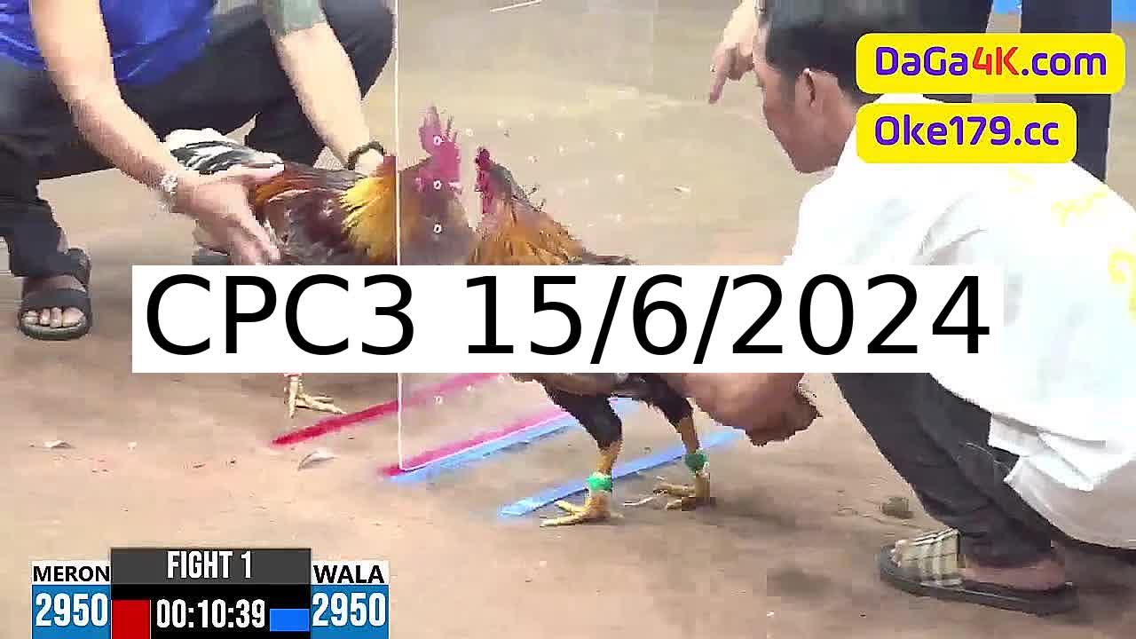 Full 49 Trận - Video đá gà trực tiếp CPC3 Campuchia ngày 15/6/2024