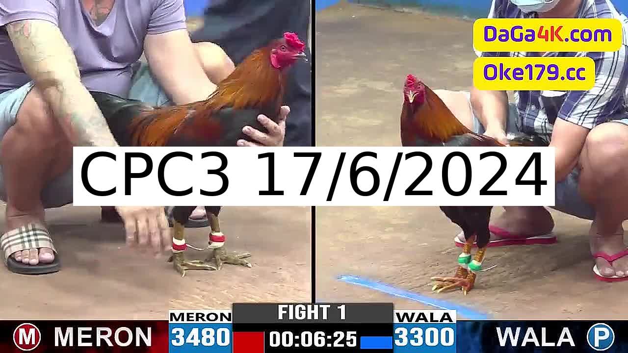 Full 33 Trận - Video đá gà trực tiếp CPC3 Campuchia ngày 17/6/2024