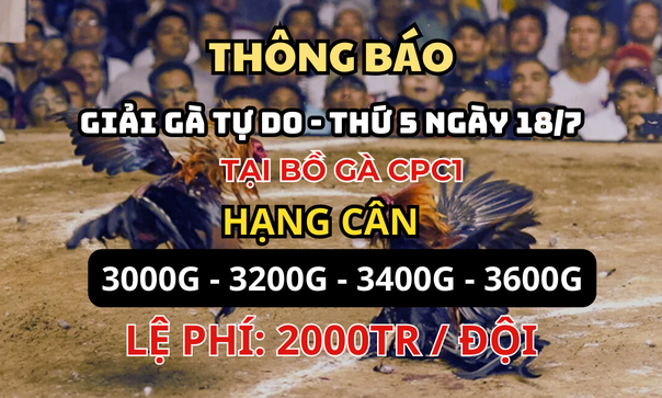 Trực Tiếp Giải Đá Gà  Tự Do Thomo CPC1 Ngày 18/7/2024