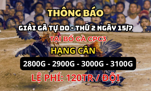 Trực Tiếp Đá Gà Giải Tự Do CPC3 ngày 15/7/2024