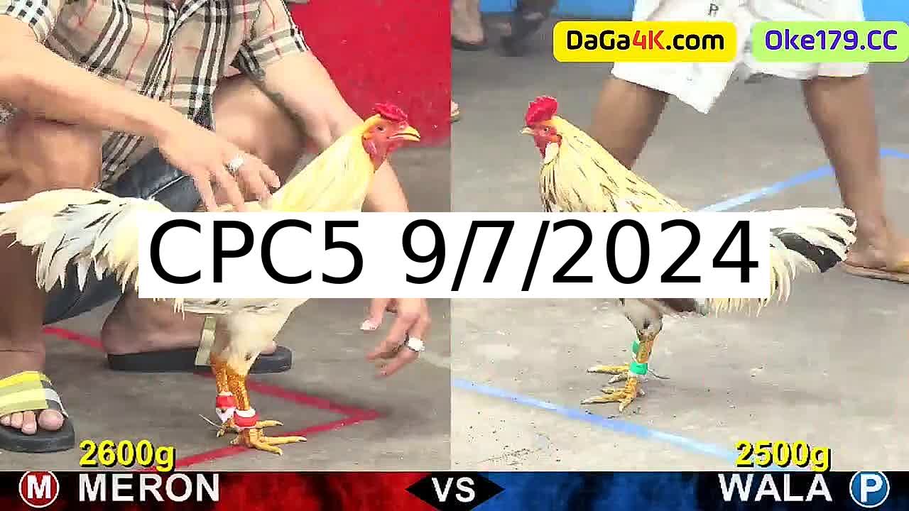 Full 20 Trận - Video đá gà trực tiếp CPC5 Campuchia ngày 9/7/2024