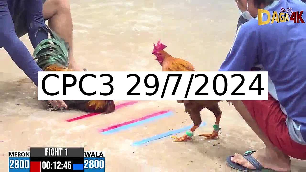 Full 32 Trận - Video đá gà trực tiếp CPC3 Campuchia ngày 29/7/2024