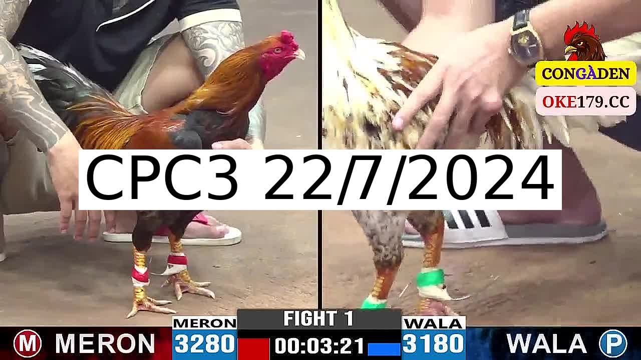 Full 30 Trận - Video đá gà trực tiếp CPC3 Campuchia ngày 22/7/2024