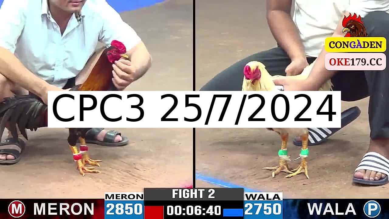 Full 32 Trận - Video đá gà trực tiếp CPC3 Campuchia ngày 25/7/2024