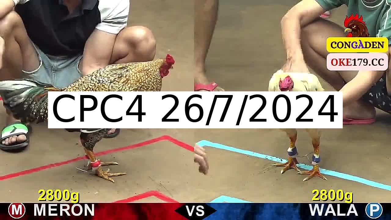 Full 24 Trận - Video đá gà trực tiếp CPC4 Campuchia ngày 26/7/2024