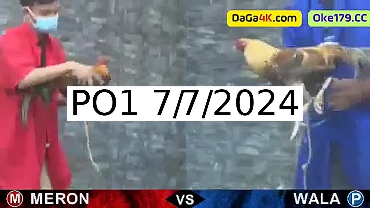 Full 126 Trận - Video đá gà trực tiếp PO1 Campuchia ngày 7/7/2024