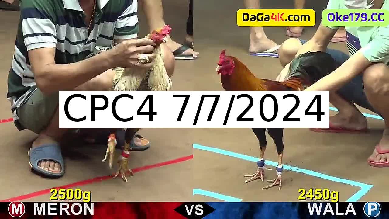 Full 31 Trận - Video đá gà trực tiếp CPC4 Campuchia ngày 7/7/2024