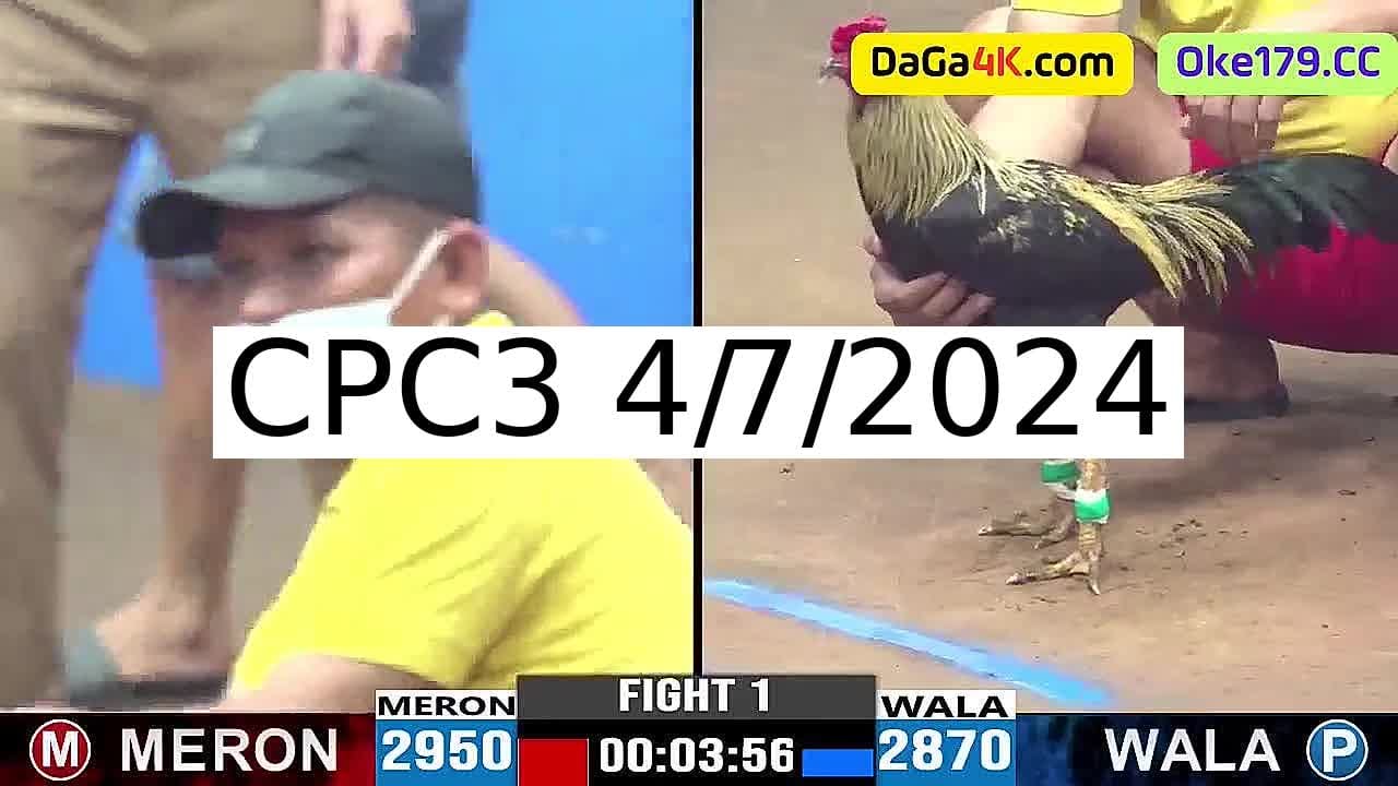 Full 38 Trận - Video đá gà trực tiếp CPC3 Campuchia ngày 4/7/2024