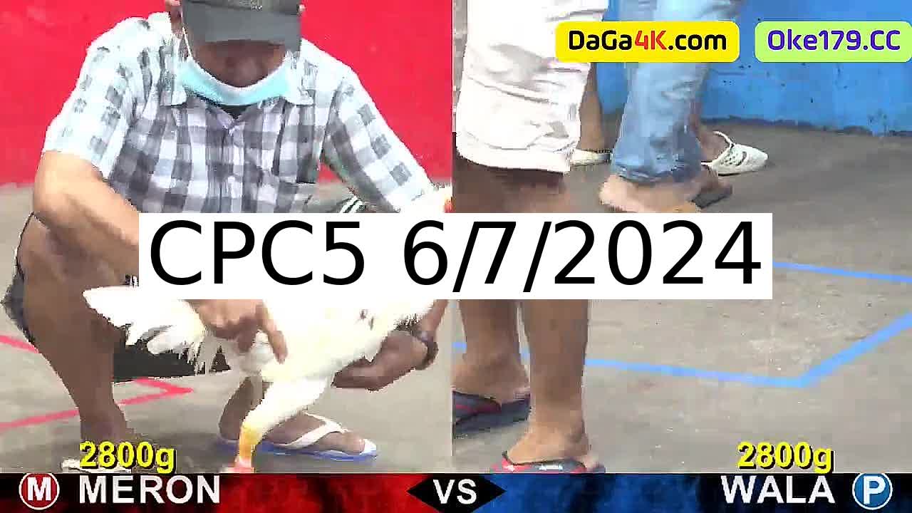 Full 20 Trận - Video đá gà trực tiếp CPC5 Campuchia ngày 6/7/2024