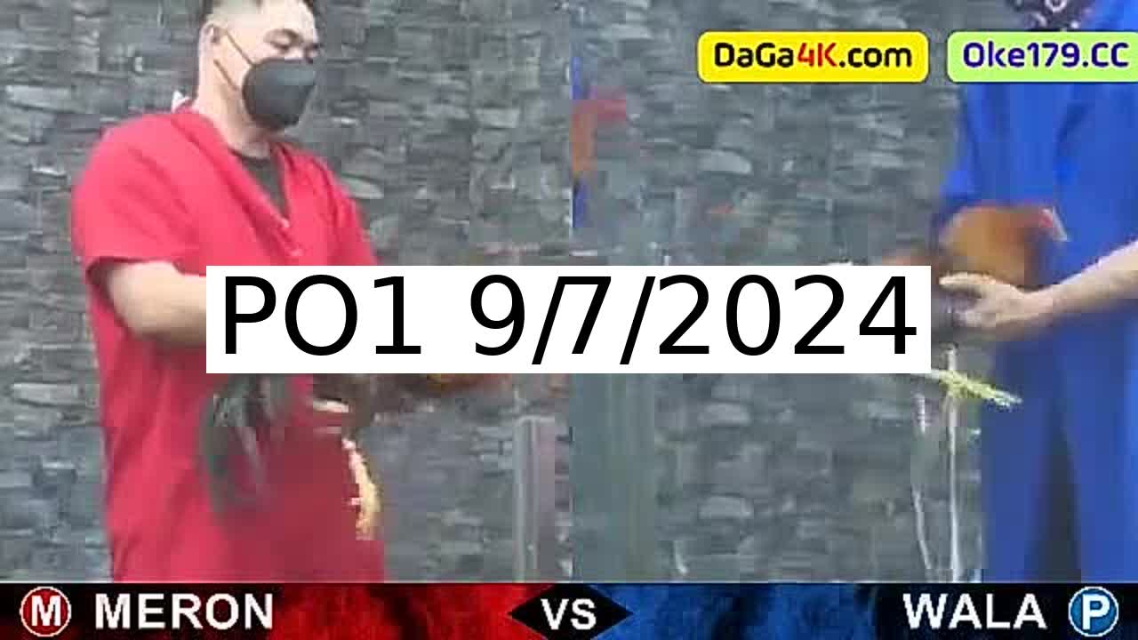 Full 165 Trận - Video đá gà trực tiếp PO1 Campuchia ngày 9/7/2024