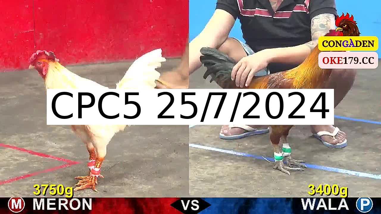 Full 23 Trận - Video đá gà trực tiếp CPC5 Campuchia ngày 25/7/2024