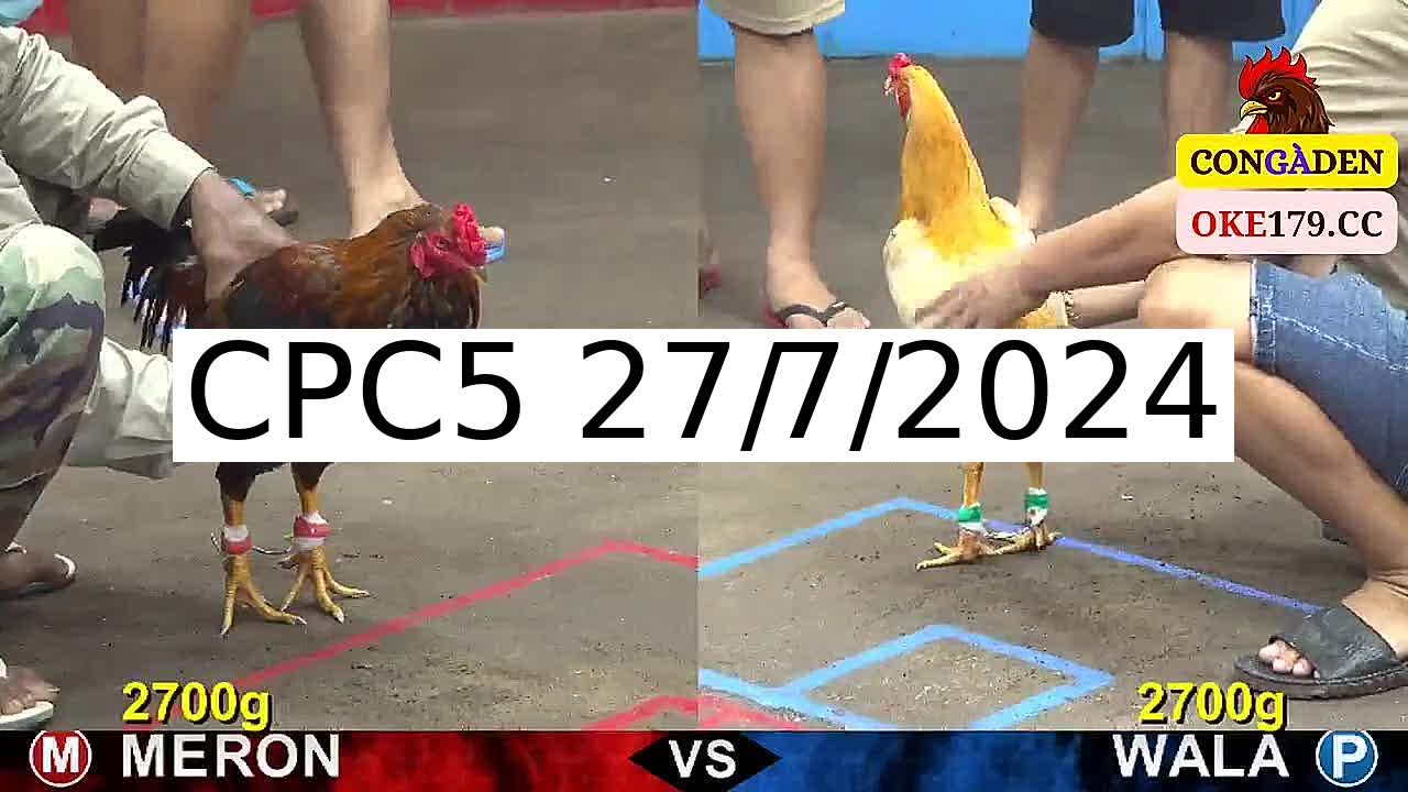 Full 22 Trận - Video đá gà trực tiếp CPC5 Campuchia ngày 27/7/2024