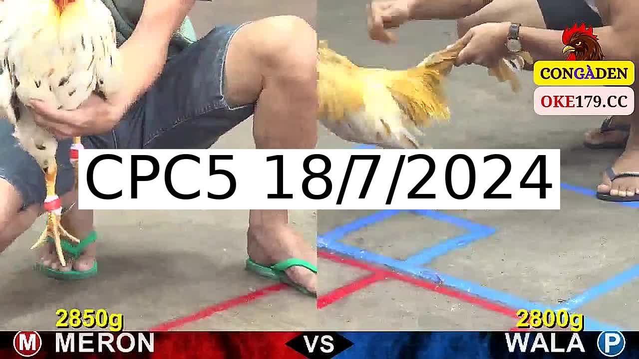 Full 21 Trận - Video đá gà trực tiếp CPC5 Campuchia ngày 18/7/2024