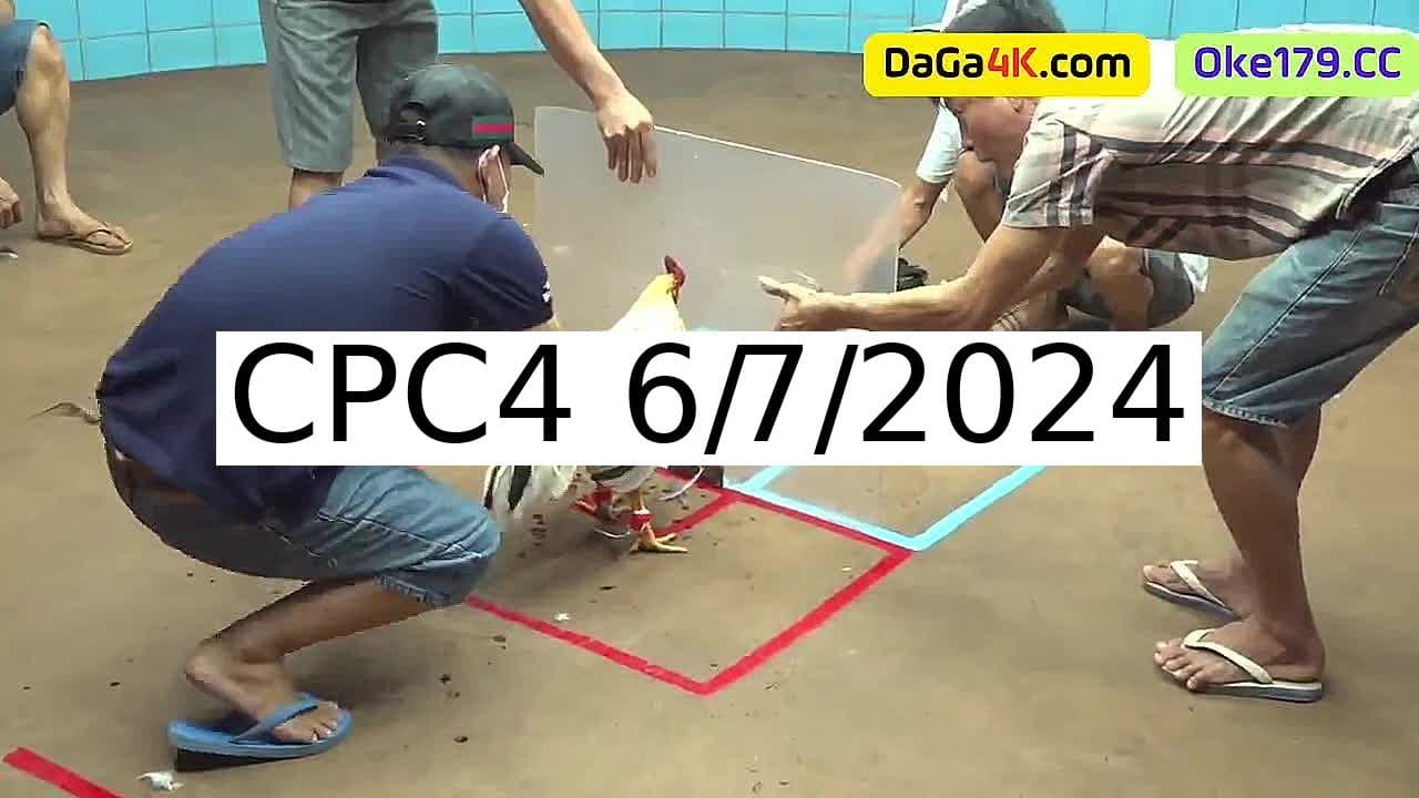 Full 27 Trận - Video đá gà trực tiếp CPC4 Campuchia ngày 6/7/2024