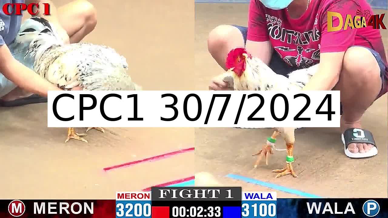 Full 20 Trận - Video đá gà trực tiếp Thomo Campuchia ngày 30/7/2024